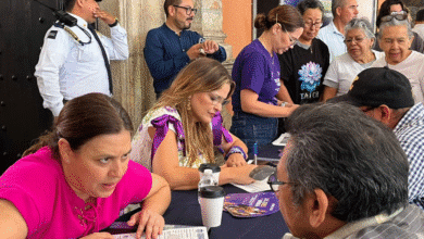 miércoles ciudadano violeta por el 8m