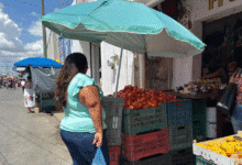 precio del tomate y limón sube en kanasín por alta demanda de semana santa