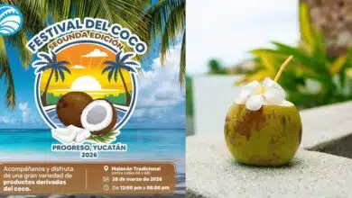 progreso alista el festival del coco 2026 en el malecón