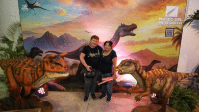 promoción en el museo del meteorito en yucatán 50% de descuento este 28 de marzo