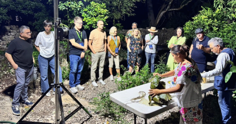 qué hacer en semana santa comisarías de mérida ofrecen turismo comunitario cos