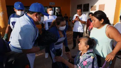 repartirán 6 toneladas de pescado gratis en kanasín así puedes acceder al apoyo