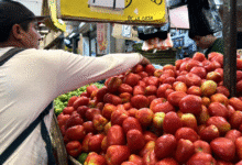 tomate y limón suben hasta 85% en mérida durante la cuaresma