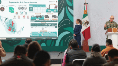 Estamos juntos trabajando por la paz y seguridad en Jalisco: Claudia Sheinbaum (Foto de Gobierno de México)