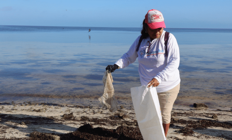 Jornada ambiental en San Crisanto sanea siete kilómetros de costa (Foto de Gobierno de Yucatán)
