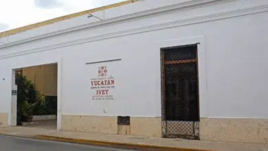 viviendas para el bienestar yucatán proyectan más de 24 mil casas en primer año