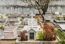 yucatán registra tasa de 411 defunciones por cada 100 mil habitantes en 2025