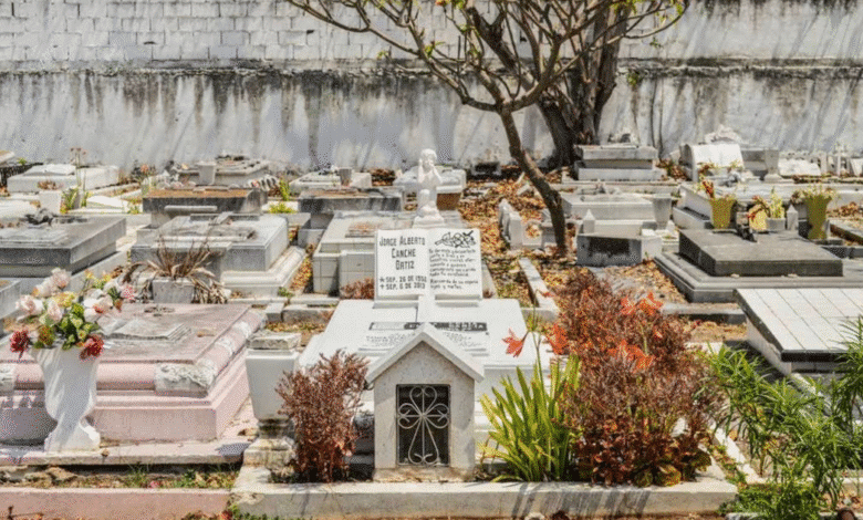 yucatán registra tasa de 411 defunciones por cada 100 mil habitantes en 2025