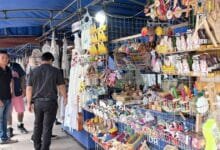 ¿que se puede encontrar en mérida en domingo