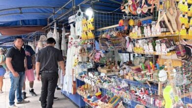 ¿que se puede encontrar en mérida en domingo