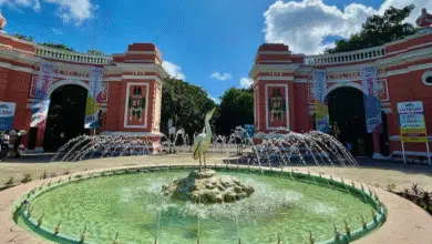 ¿ya sabes qué servicios estarán abiertos en semana santa en mérida