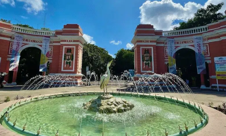 ¿ya sabes qué servicios estarán abiertos en semana santa en mérida