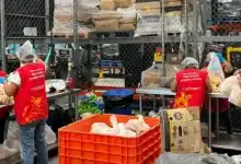 Banco de Alimentos de Yucatán rescata más de 2.5 millones de kilos de comida