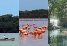 Alcalde de Celestún niega venta irregular de terrenos en zonas protegidas