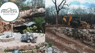 Clausuran obras de presunto mega proyecto turístico en Abalá por daños ambientales (Fotos Redes Sociales)