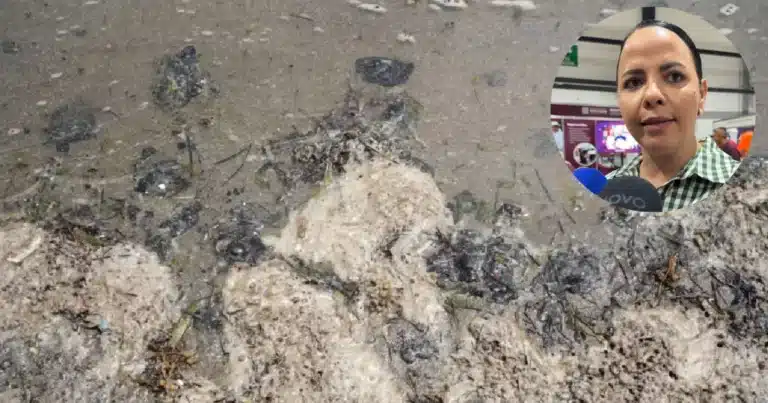 Descartan afectaciones a la pesca por mancha de hidrocarburo en costas de Yucatán