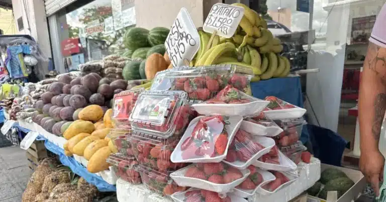 Precio de la fresa cae hasta 40% en mercados de Yucatán por alta producción