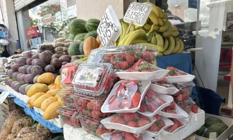 Precio de la fresa cae hasta 40% en mercados de Yucatán por alta producción
