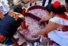 dzan cebolla en chumayel tradición que marca el inicio de las fiestas al santo cristo de la transfiguración