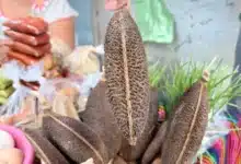 el peine de la xtabay el mito maya que promete hacer crecer el cabello