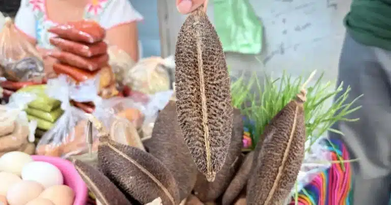 el peine de la xtabay el mito maya que promete hacer crecer el cabello