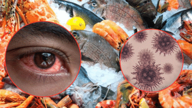 ¿Qué es el virus que está poniendo en riesgo a animales en China? Nodavirus (Fotos de internet)