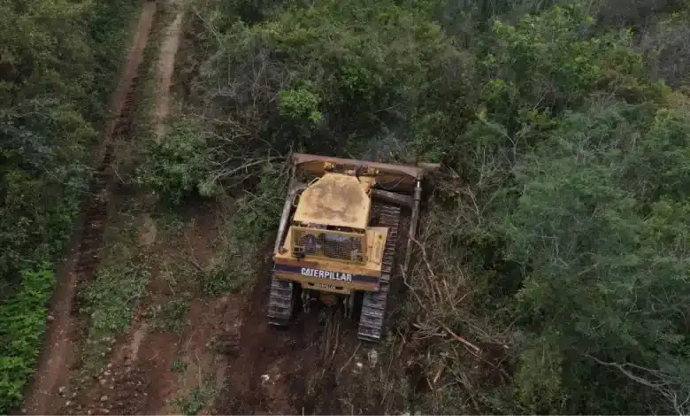 Deforestación dentro de la Reserva Ecológica Cuxtal (Foto de internet)