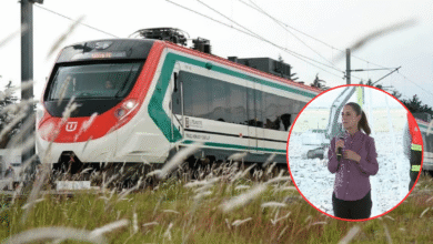 Sheinbaum supervisa obras del Tren México-Pachuca (Fotos de internet)