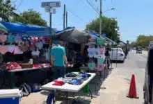 Tianguis de San Roque (Foto de Daniel Santiago)