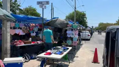 Tianguis de San Roque (Foto de Daniel Santiago)
