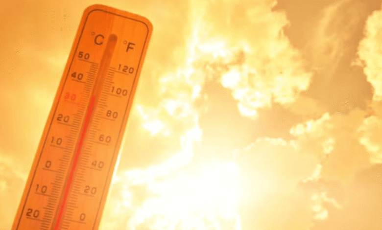 Clima hoy: Onda de calor será más intensa en estos estados de México (Imagen de internet)