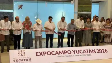 expocampo yucatán 2026 impulsa al sector rural con 450 expositores y enfoque en innovación