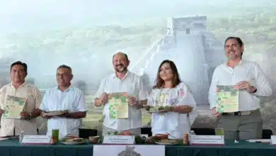 festival de la chaya 2026 tekax anuncia amplia variedad