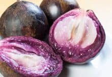 Frutas de temporada en Yucatán: anona, mamey y caimito refrescan mercados y hogares