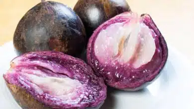 Frutas de temporada en Yucatán: anona, mamey y caimito refrescan mercados y hogares