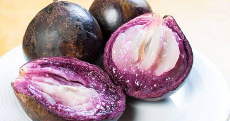 Frutas de temporada en Yucatán: anona, mamey y caimito refrescan mercados y hogares