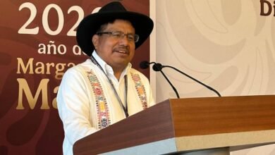 Gobierno de México reconoce a Saúl Vicente Vázquez por su designación en el Comité de la ONU contra la Discriminación Racial