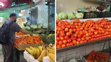huertos de traspatio ayudarían a contener alza de tomate y limón en yucatán
