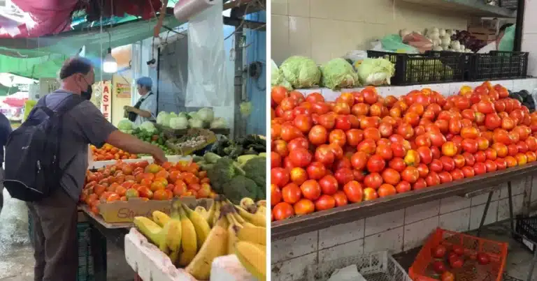 huertos de traspatio ayudarían a contener alza de tomate y limón en yucatán