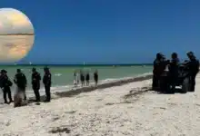 Implementarán operativo coordinado para proteger la Reserva Estatal El Palmar