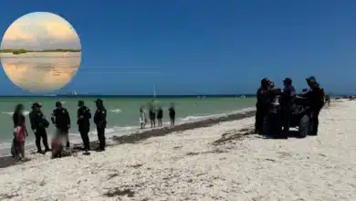 Implementarán operativo coordinado para proteger la Reserva Estatal El Palmar