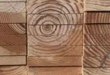 industria maderera en yucatán da salto tecnológico con modernos hornos de secado