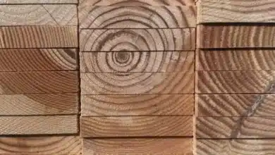 industria maderera en yucatán da salto tecnológico con modernos hornos de secado