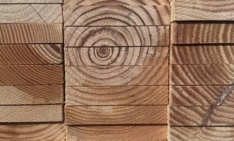 industria maderera en yucatán da salto tecnológico con modernos hornos de secado