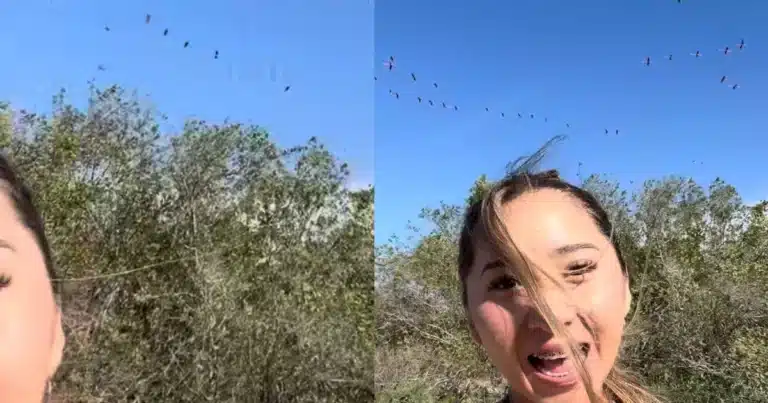 influencer yucateca causa ruido excesivo en zona natural y espanta a flamencos en sisal