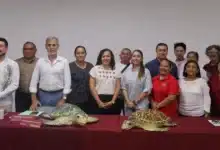 inicia temporada de anidación de tortugas marinas 2026 en yucatán