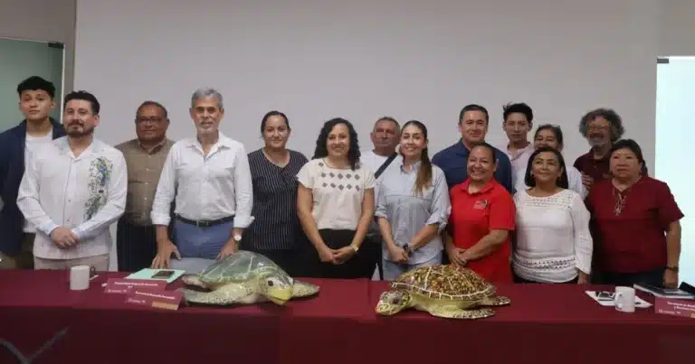 inicia temporada de anidación de tortugas marinas 2026 en yucatán