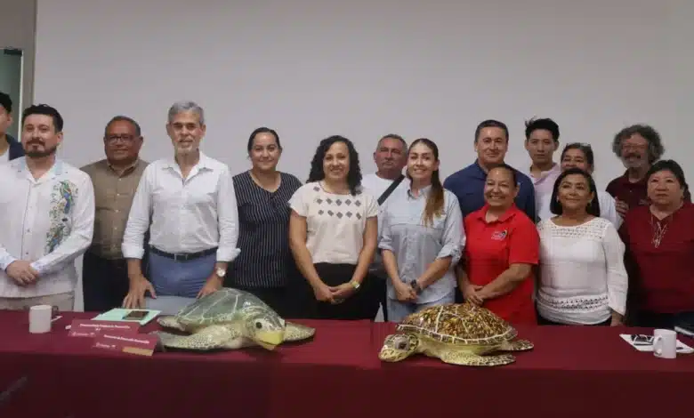 inicia temporada de anidación de tortugas marinas 2026 en yucatán