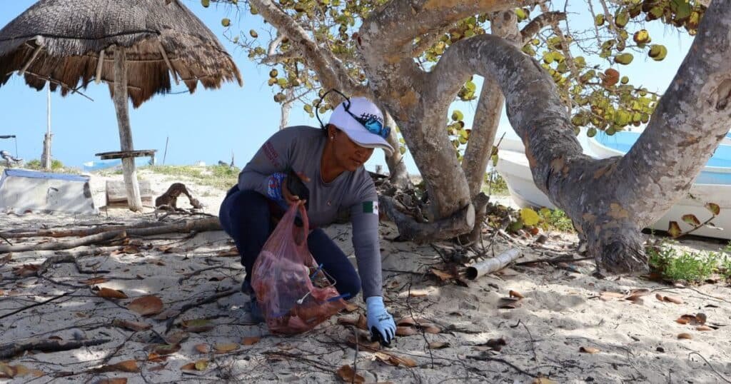mercado circular en las coloradas impulsa reciclaje y reúne más de 1.5 toneladas de residuos (1)