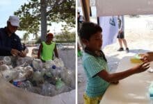 mercado circular en las coloradas impulsa reciclaje y reúne más de 1.5 toneladas de residuos